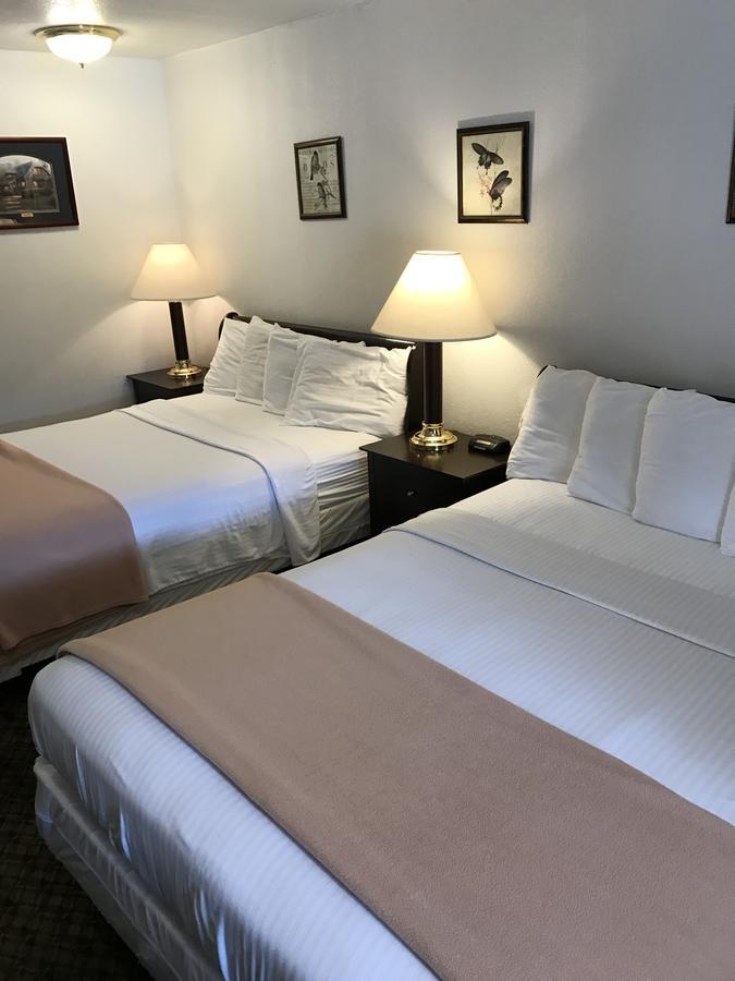 Gold Pan Lodge Quincy Dış mekan fotoğraf